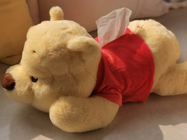 60cm Pink Yellow Pupu Bear Big Stuffed Animals Toys Plush - Image 3